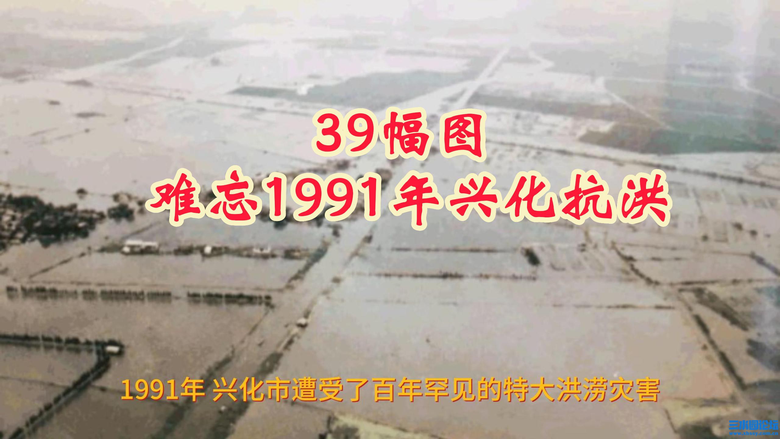 39幅图 难忘1991年兴化抗洪-封面.jpg