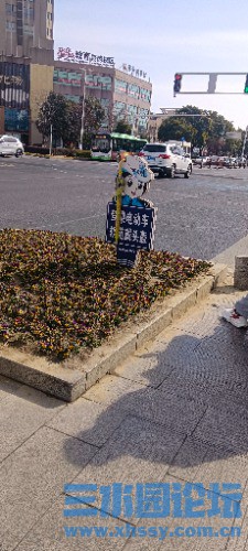IMG_20250206_132525.jpg