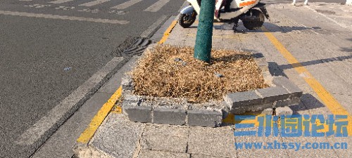 IMG_20250210_144854.jpg