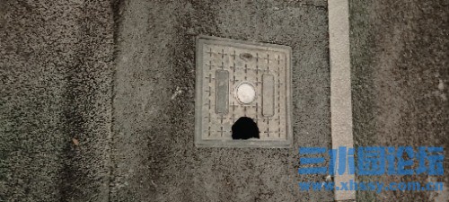 IMG_20250222_183556.jpg