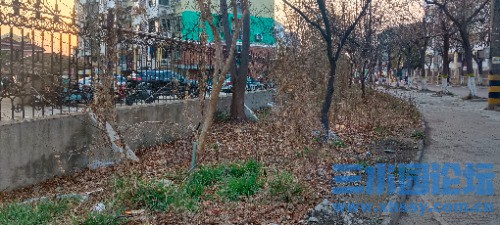 IMG_20250306_174335.jpg