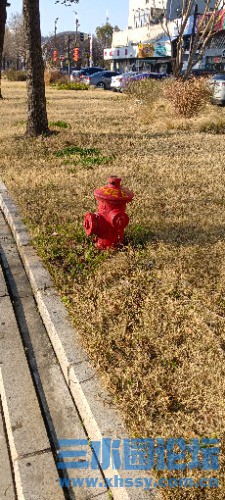 IMG_20250319_073002.jpg