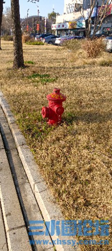 IMG_20250319_073001_1.jpg
