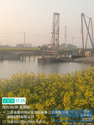 Marki_20250320_172554956.jpg