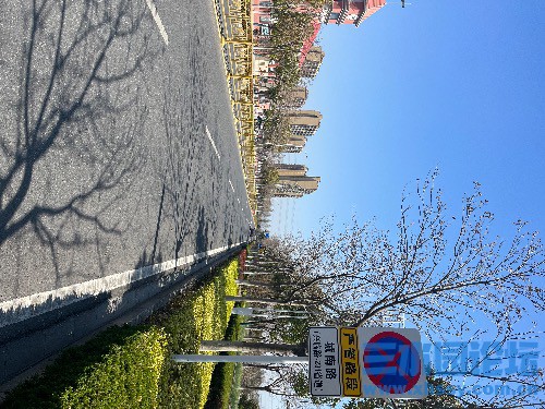 IMG_6045.jpeg
