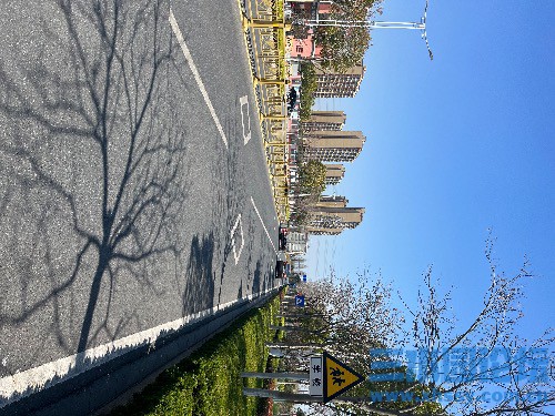 IMG_6046.jpeg