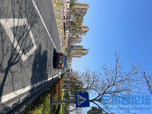 IMG_6047.jpeg