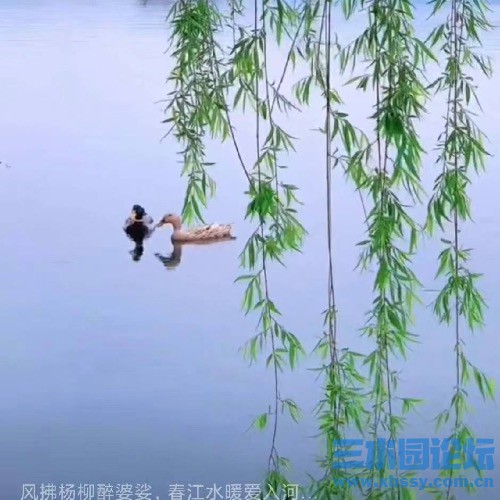 935B89E2-BEEC-4292-8FB1-E1F7F357CA71.jpeg