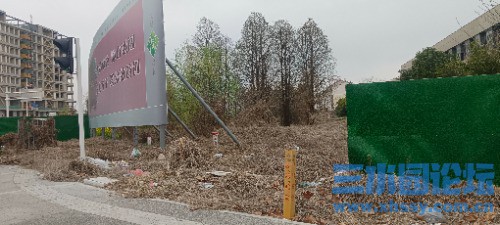 IMG_20250323_165945.jpg