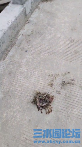 Videoframe_20250327_163727_com.huawei.himovie.local.jpg
