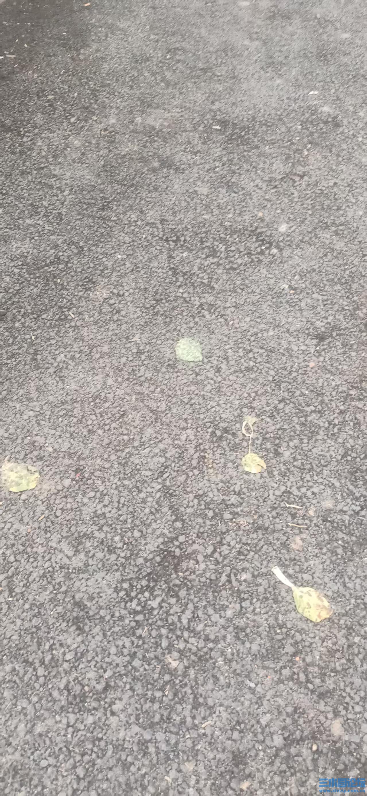 楚水杂谈_20250407_181228.jpg