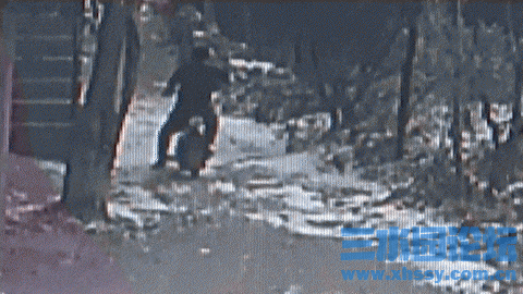 IMG_3335.gif