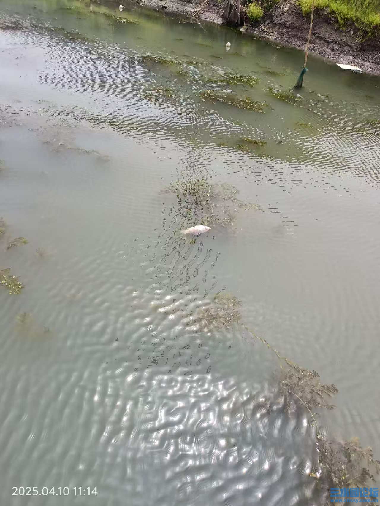 微信图片_20250412114802.jpg