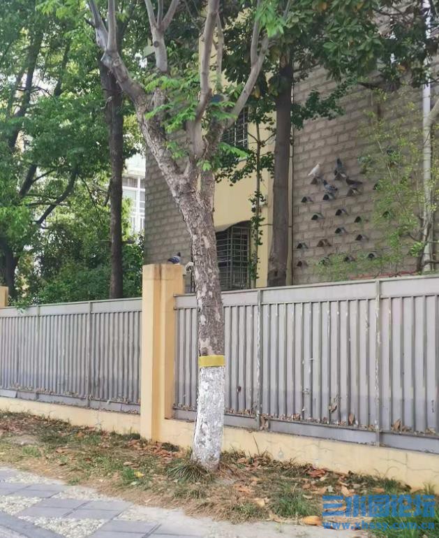 360截图20250428170449240.jpg