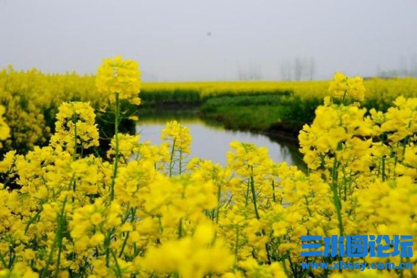 s_71e23c8562d440f68c48e77cad81135e.jpeg