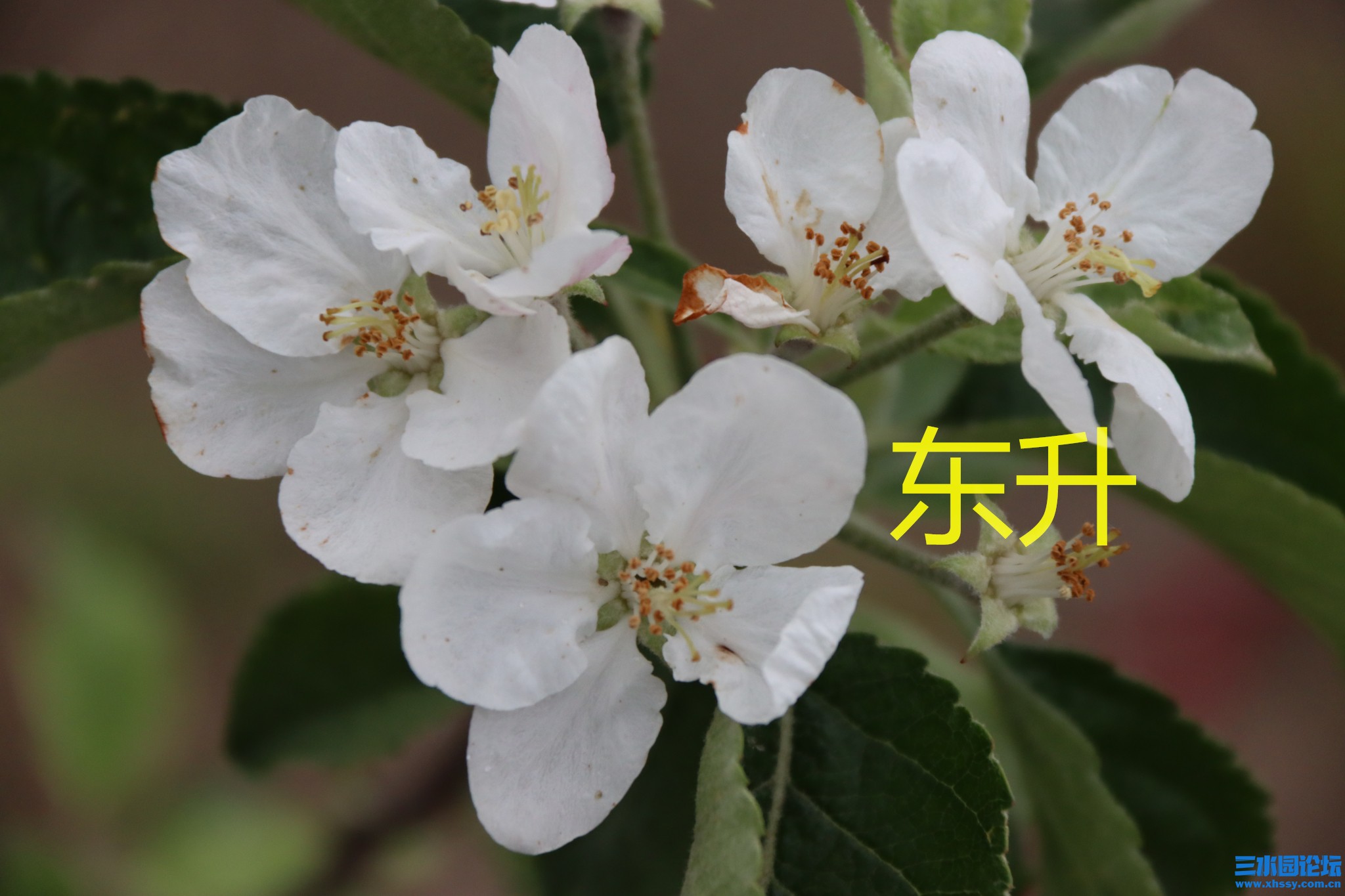 IMG_9094_看图王.jpg