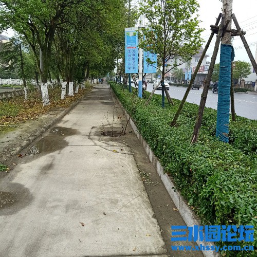 IMG20210425073649.jpg