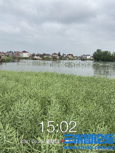 A63F6391-B9FD-4BE7-B0A5-2ACE7843209E.jpeg