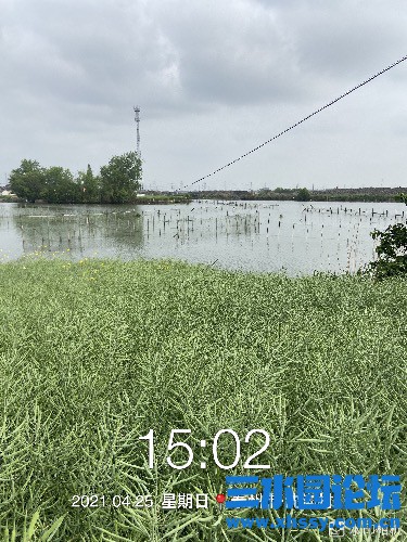 D0ECDB96-9769-4C61-A265-6A02D1957DE8.jpeg