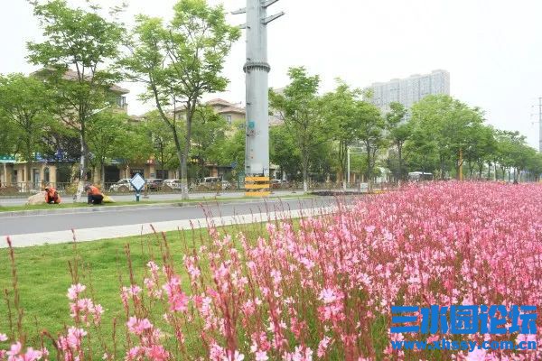 下载 (7).jpg