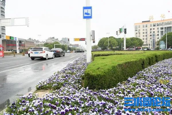 下载 (8).jpg