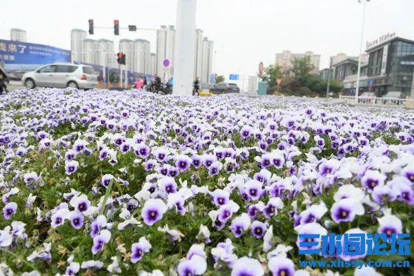 下载 (2).jpg