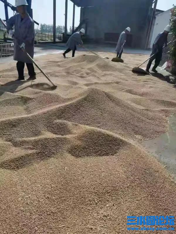 微信图片_20210603082352.jpg