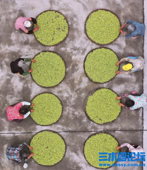 微信图片_20210706081025.png