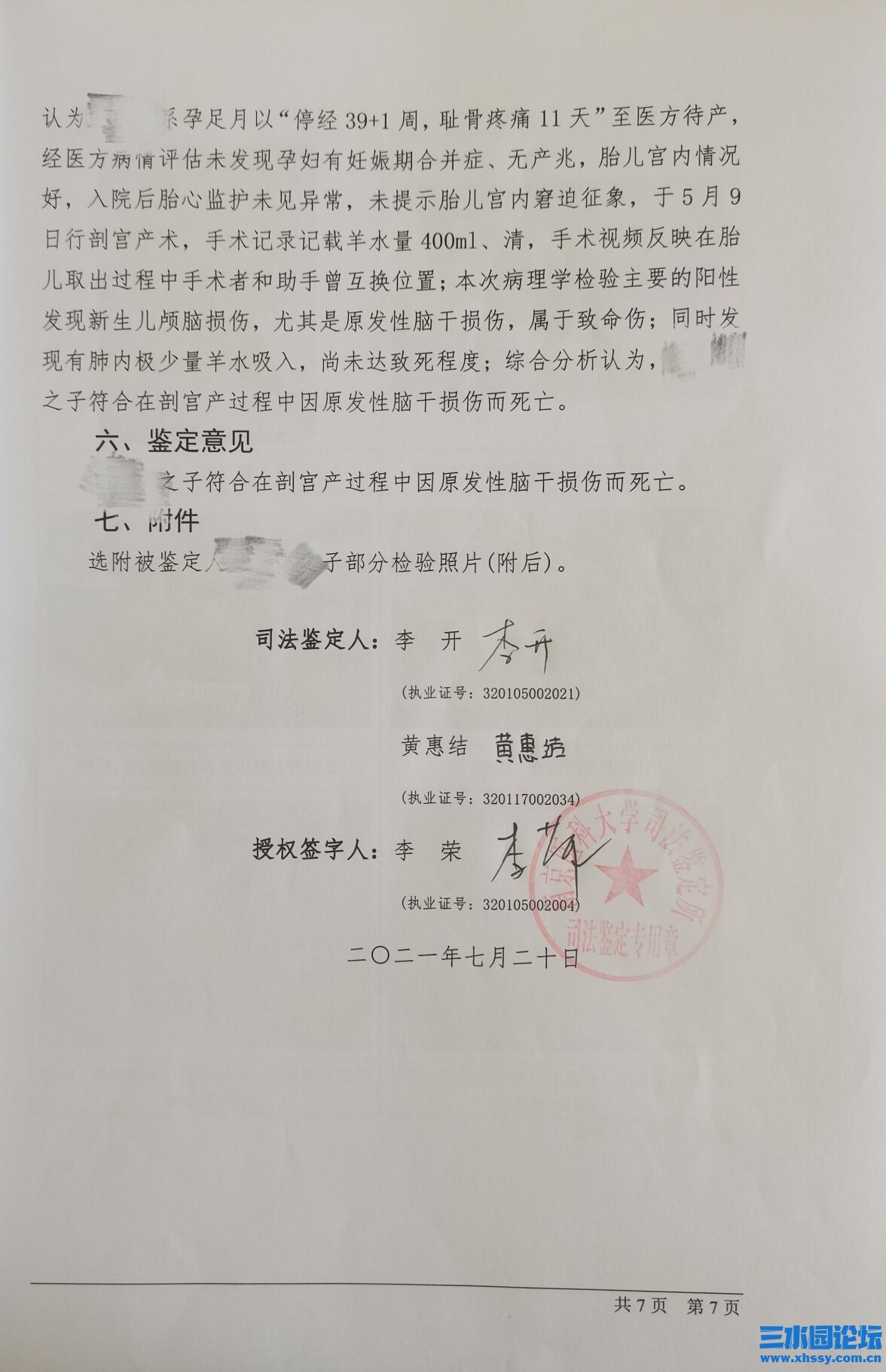 鉴定结论