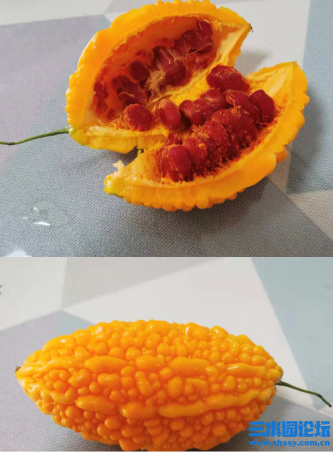 微信图片_20210823085646.png