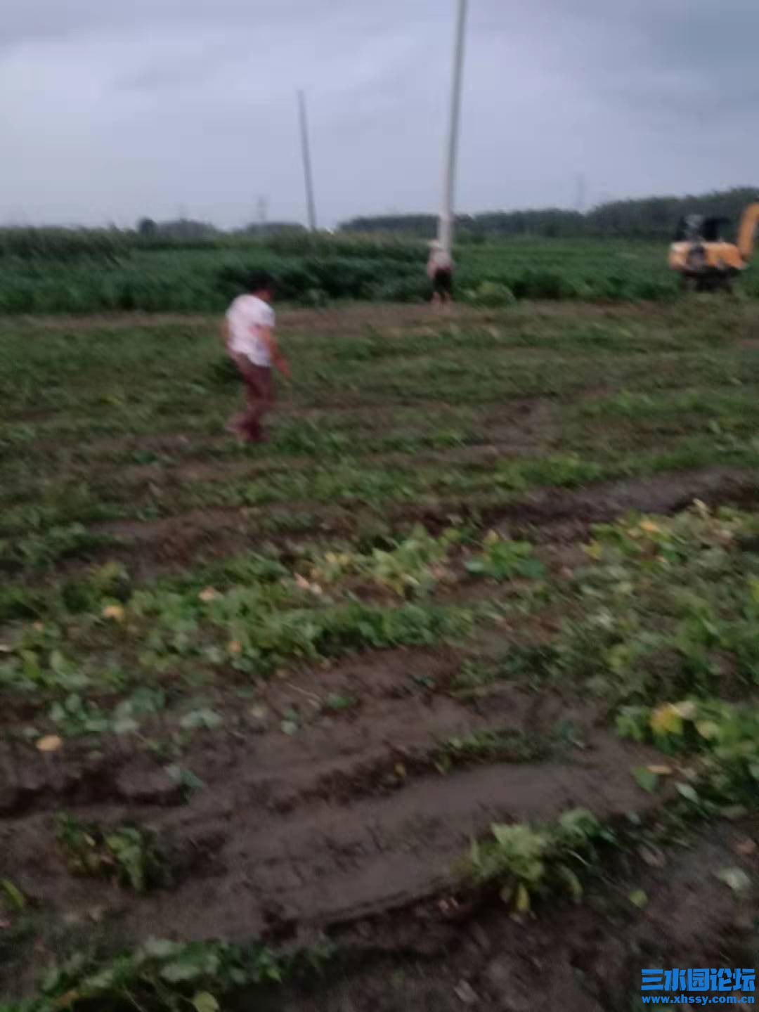 1725056740.jpg