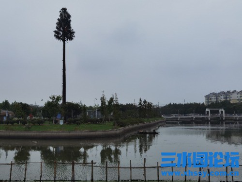 IMG_20210828_134246.jpg