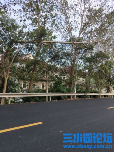 IMG20210912163013.jpg