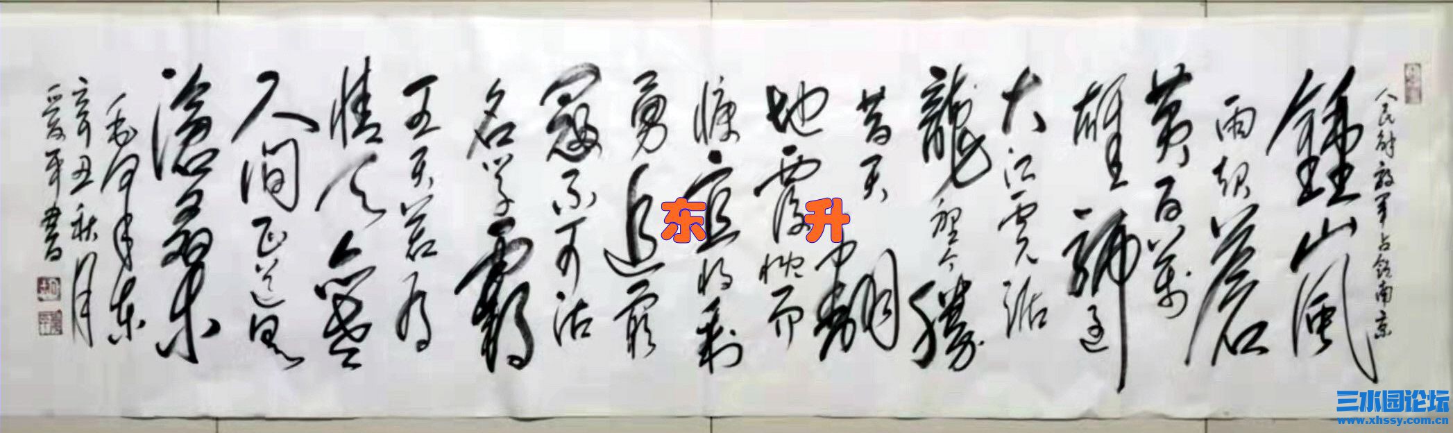 2 钟山风雨起苍黄.jpg