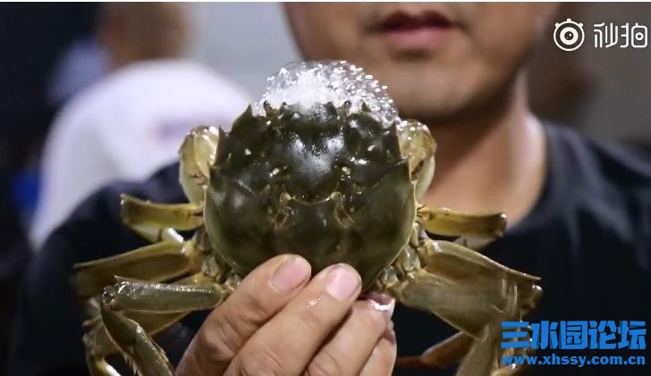 QQ浏览器截图20210920145907.jpg