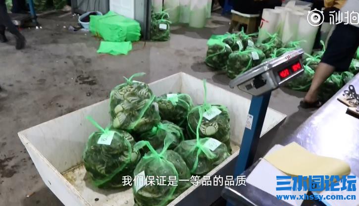 QQ浏览器截图20210920145927.jpg