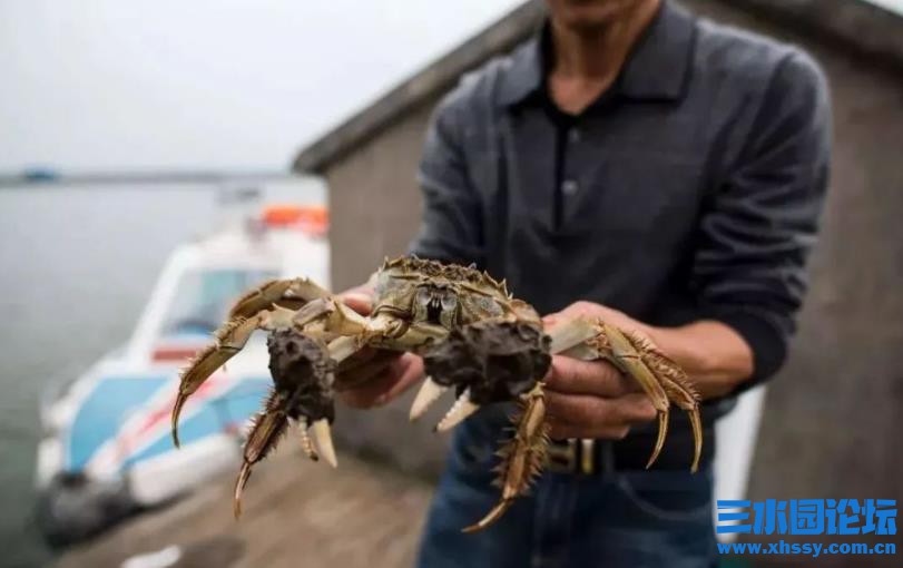QQ浏览器截图20210921163818.jpg