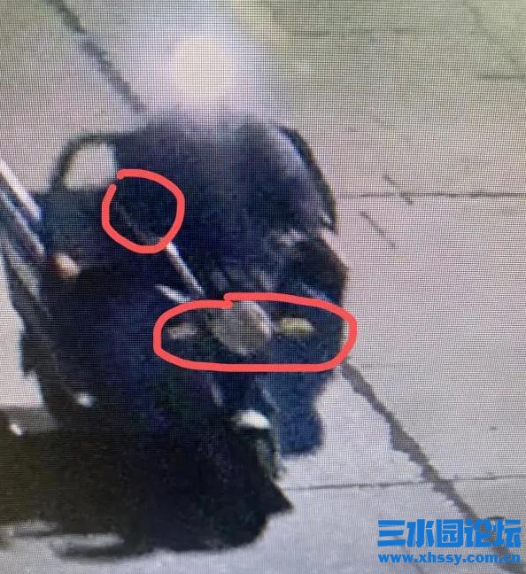 QQ浏览器截图20210925155248.jpg