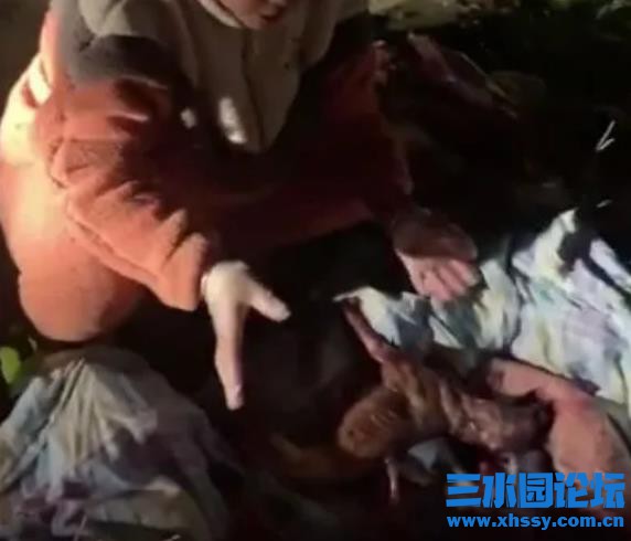 QQ浏览器截图20211017100358.jpg