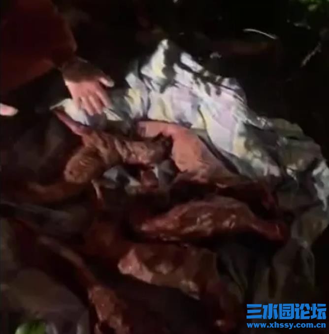 QQ浏览器截图20211017100411.jpg