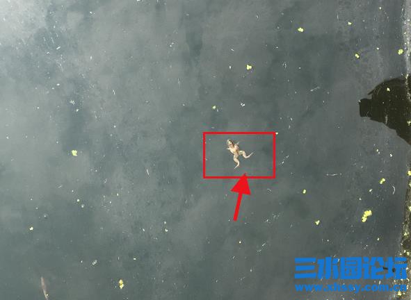 QQ浏览器截图20211022095343.jpg