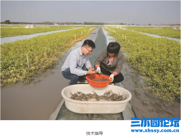 微信图片_20211109082148.png