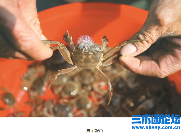 微信图片_20211109082156.png