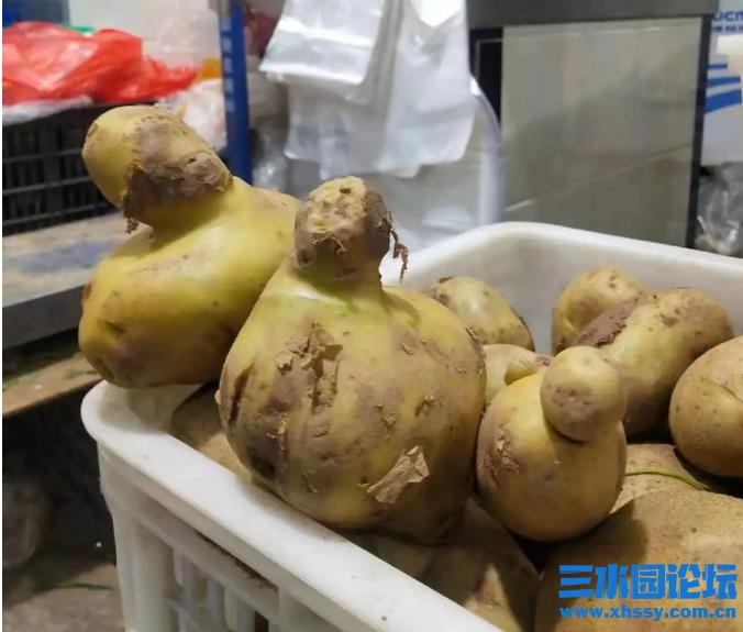 QQ浏览器截图20211111103545.jpg