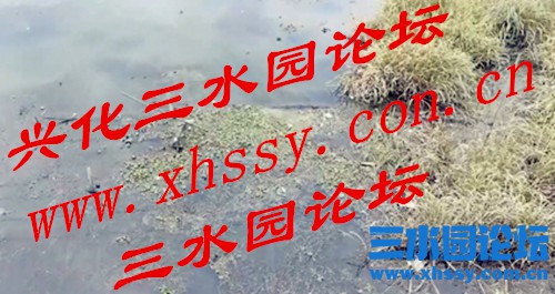 微信图片_20211215085953.jpg