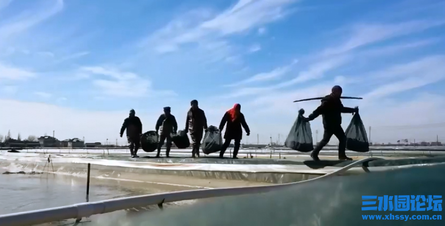 QQ浏览器截图20220227152915.png