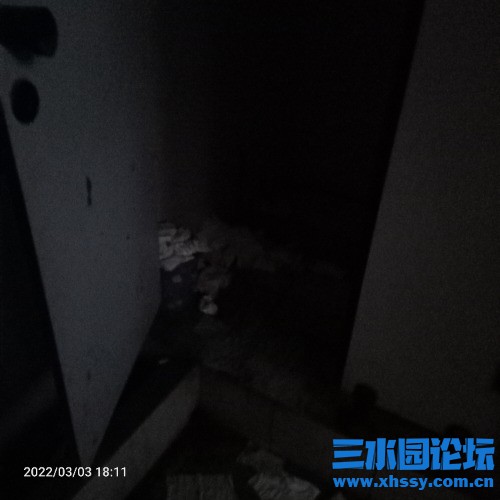 IMG20220303181203.jpg