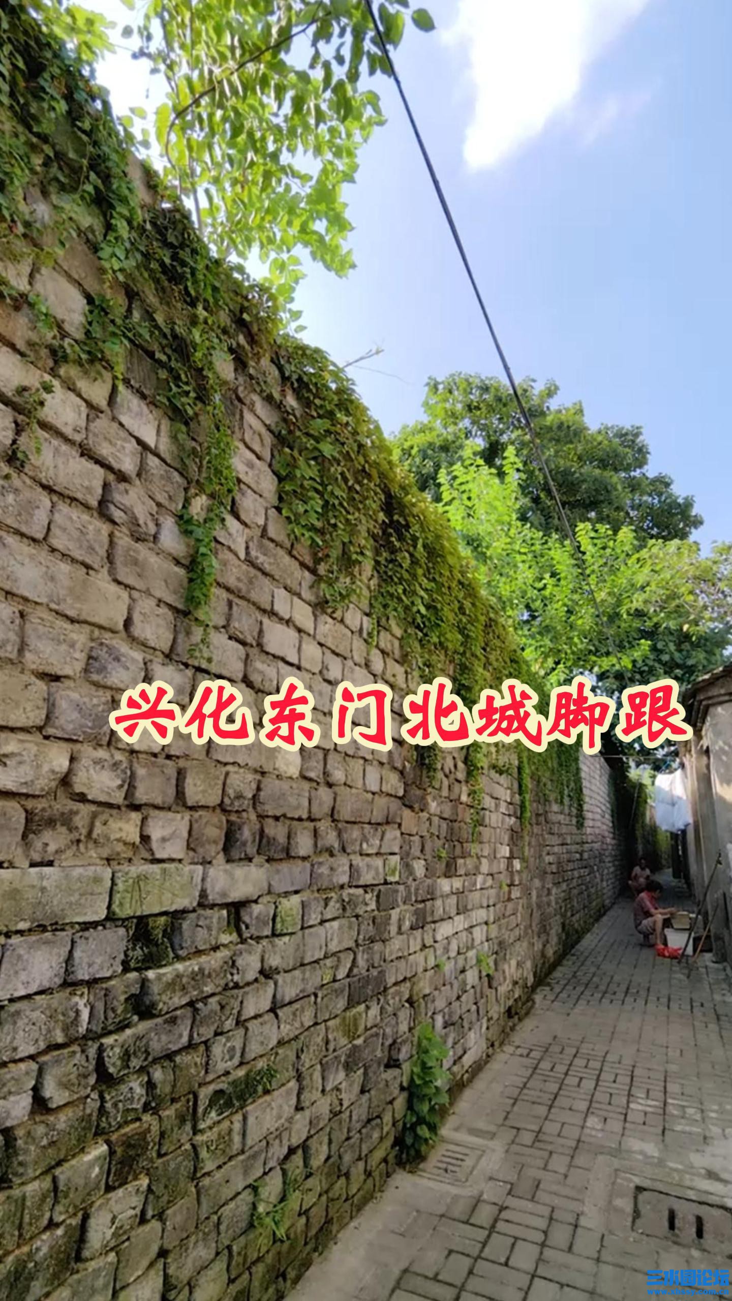 兴化东门北城脚跟-封面.jpg