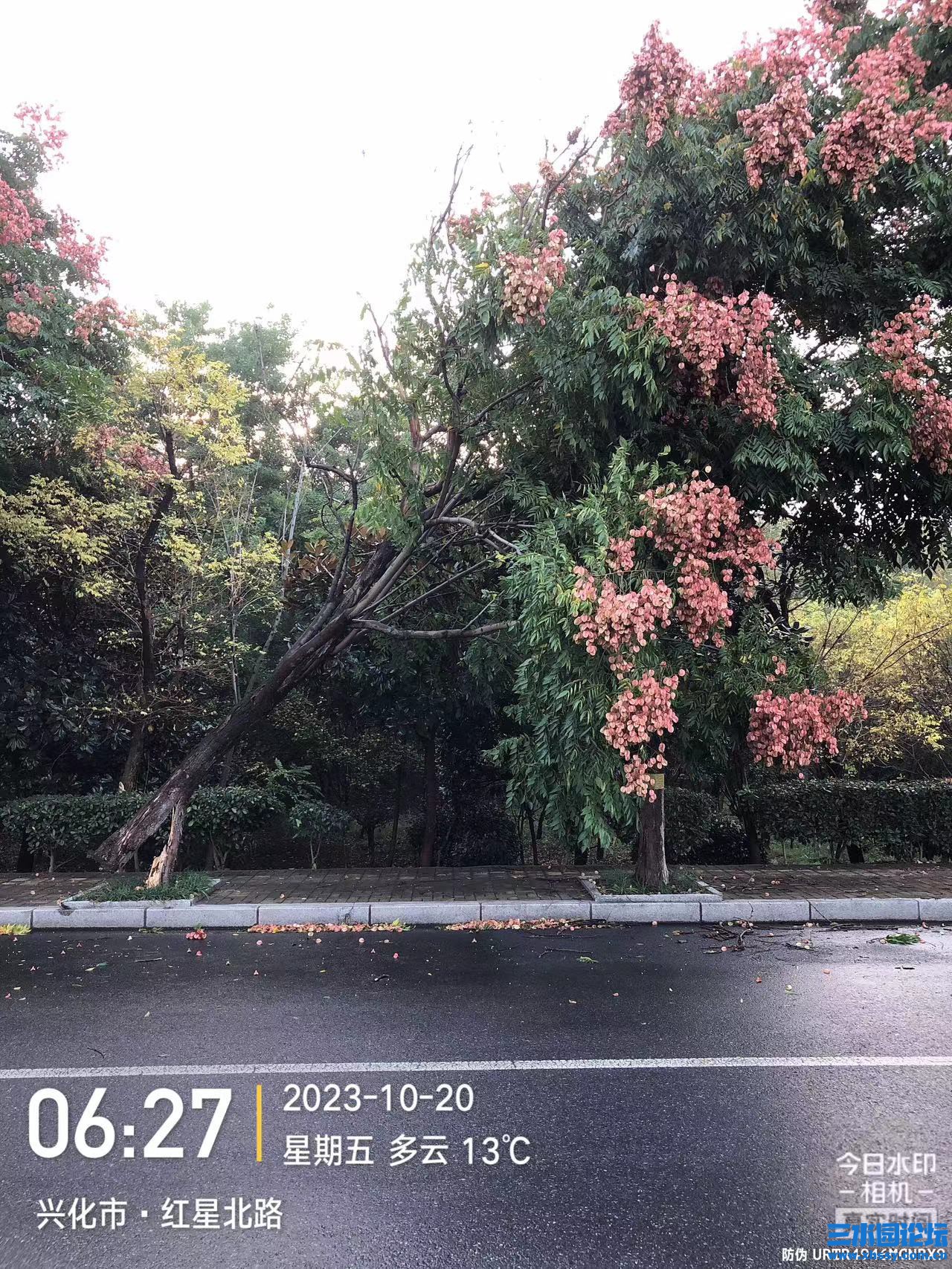 微信图片_20231020073320.jpg