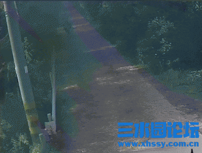 IMG_9648.gif